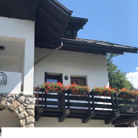 Appartamento La casa di Monte Ricco Pieve di Cadore Esterno foto