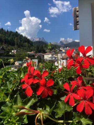 Appartamento La casa di Monte Ricco Pieve di Cadore Esterno foto