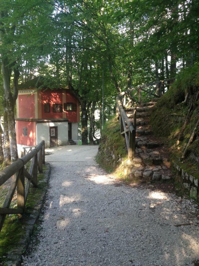 Appartamento La casa di Monte Ricco Pieve di Cadore Esterno foto